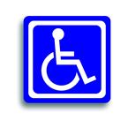 handicap megnetic sign